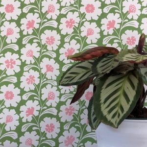 Henley Grass Wallpaper