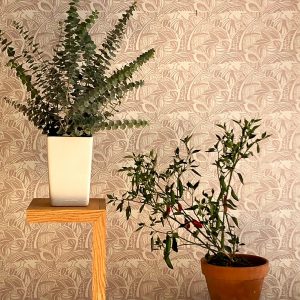 Woodland /Dove (Sample)