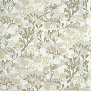 Rockpools / Sand (sample)