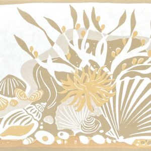 Rockpools Border / Sand