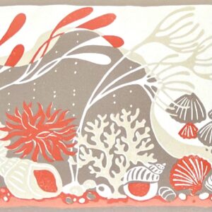 Rockpools Border / Coral