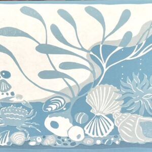 Rockpools Borders