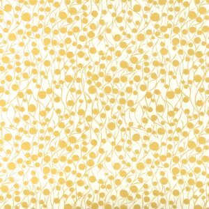 Zephyr / Canary ( sample )