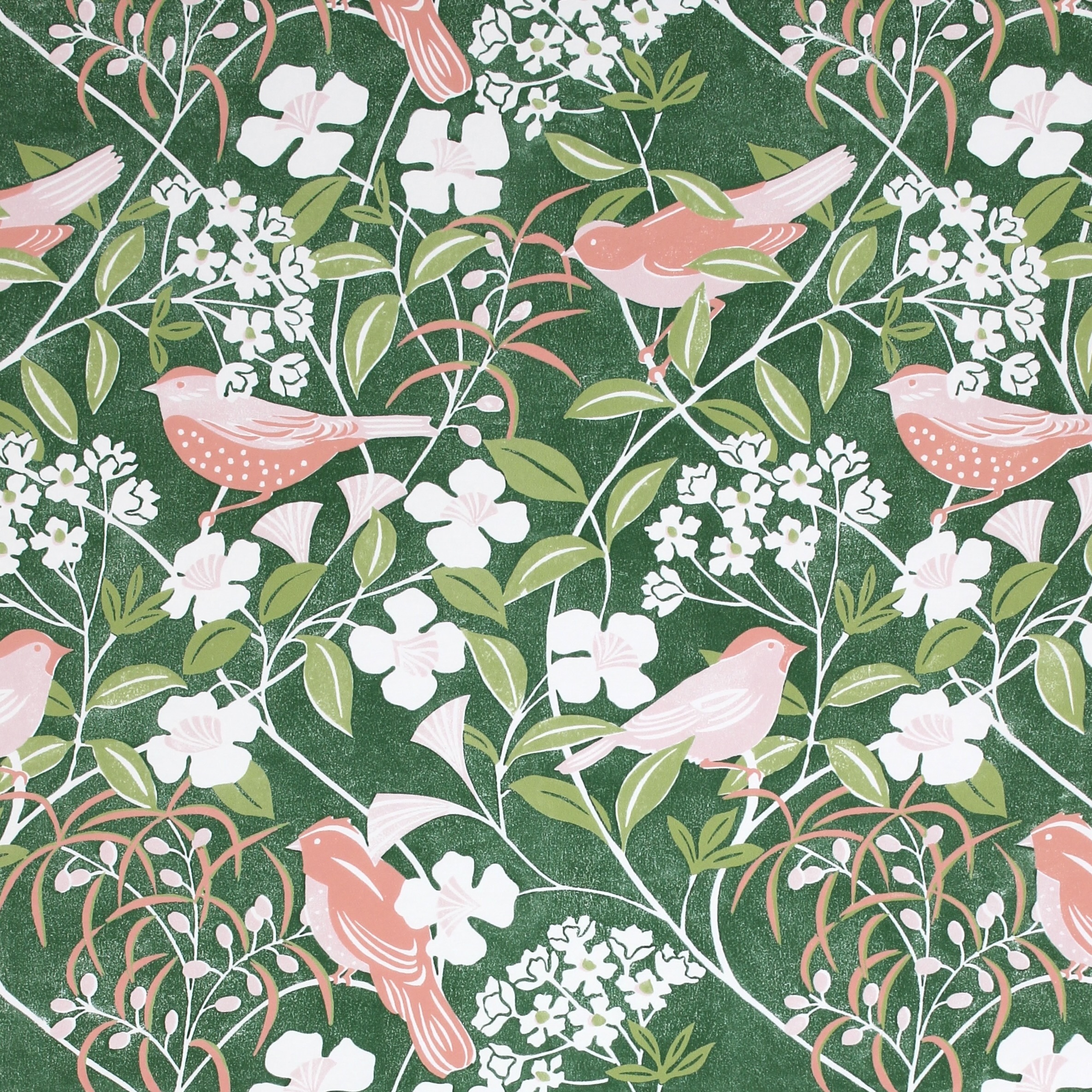 fiona howard process