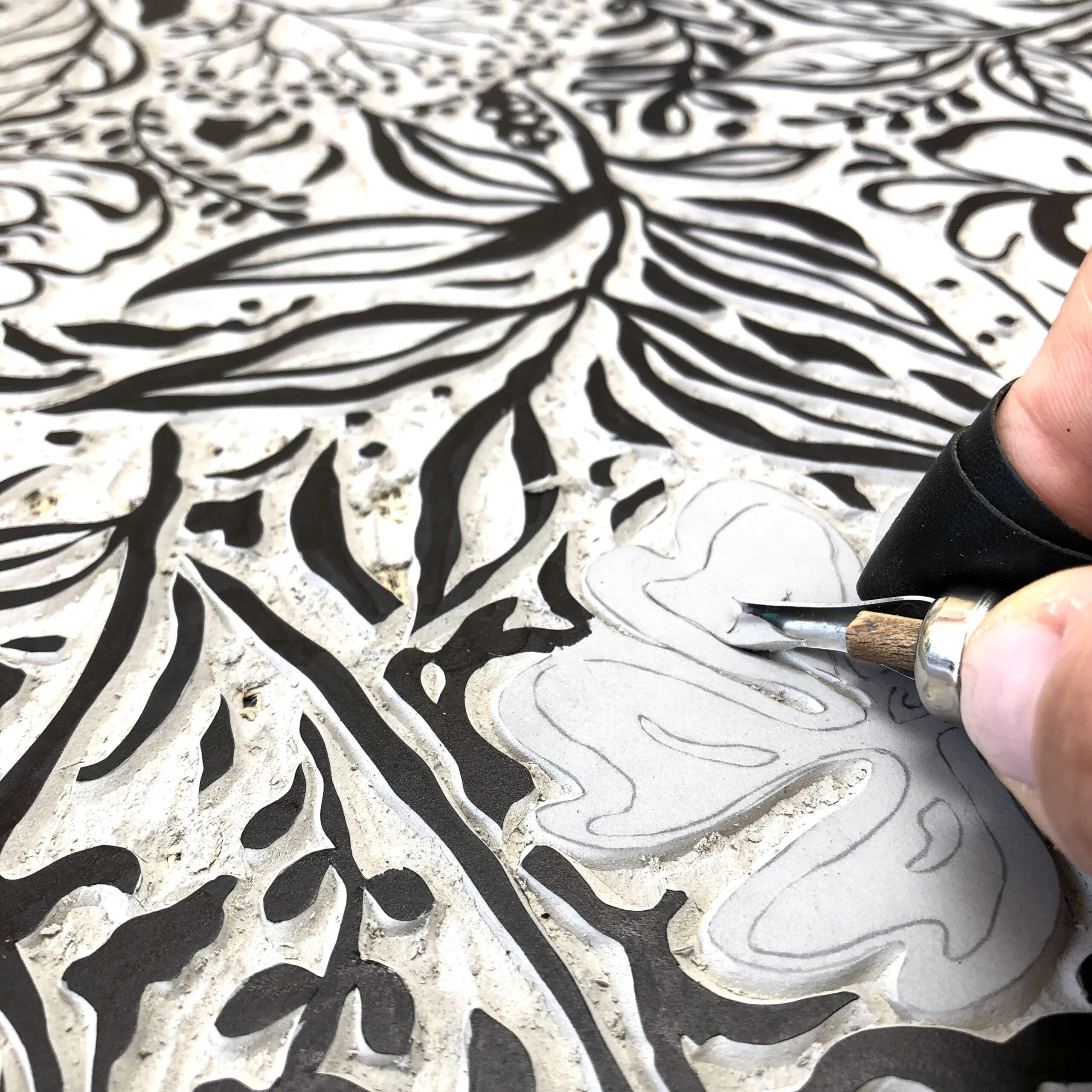 fiona howard process